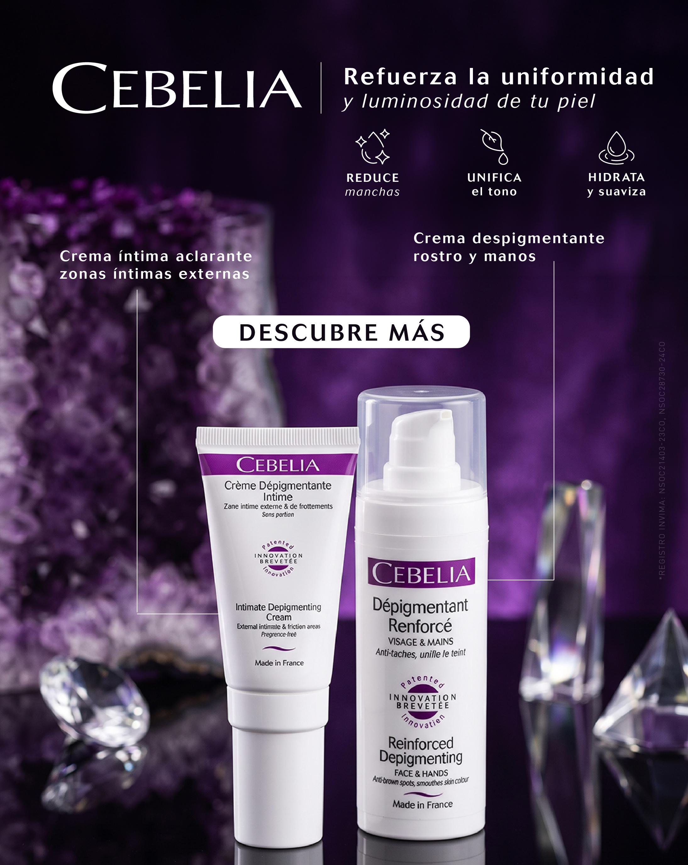 Cebelia_Melasma II